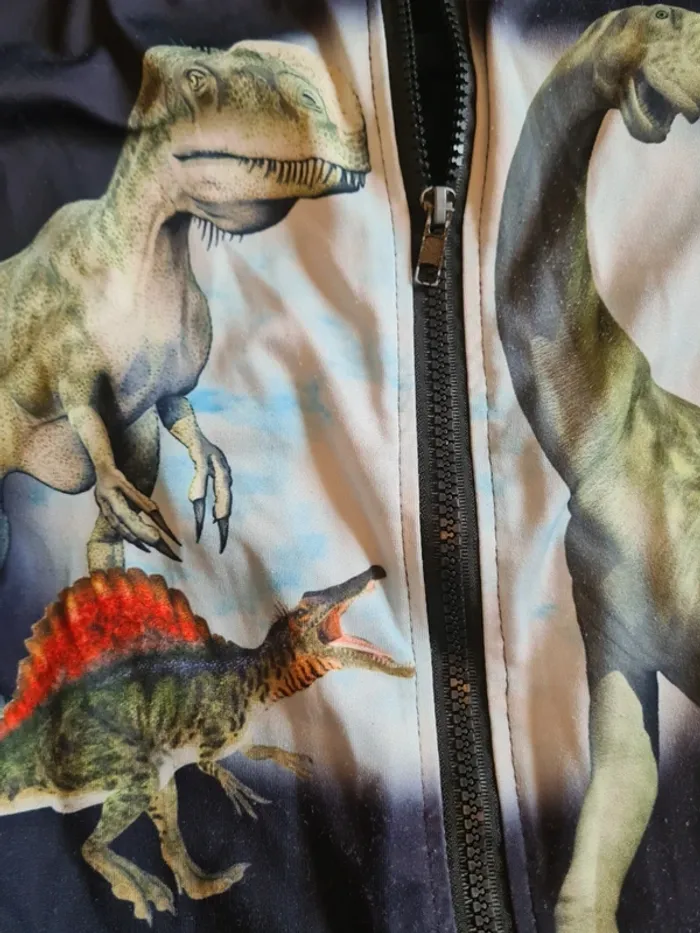 Veste 8 ans - photo numéro 4