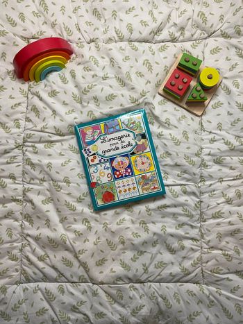 livre l'imagerie pour la grande école éditions fleurus