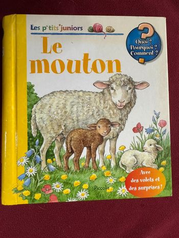 livre les p’tits junior Le mouton