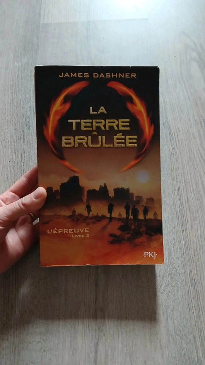 Livre Labyrinthe tome 2