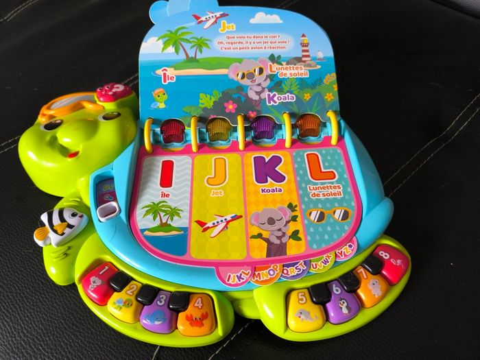 Thaïs la tortue exploratrice - photo numéro 4