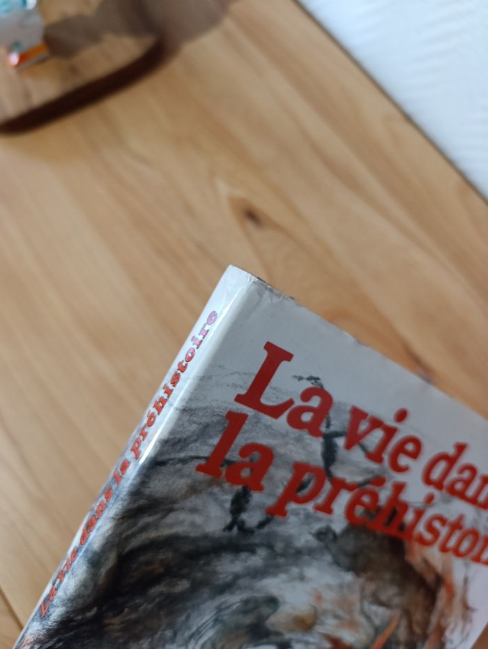 La vie dans la préhistoire - photo numéro 3