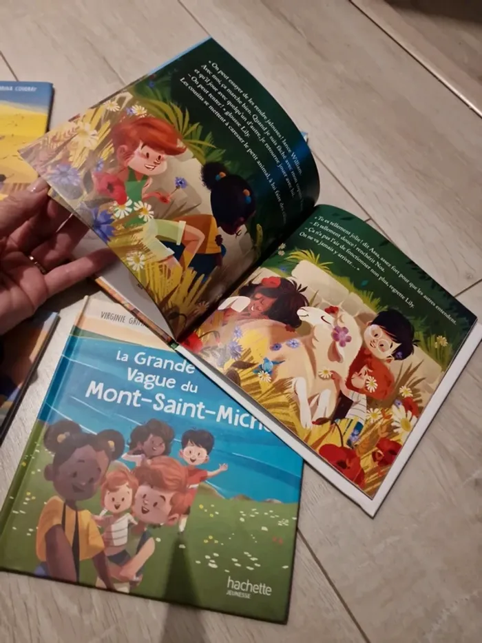 Lot Livres Mac Do Thème Merveilles de France - photo numéro 4