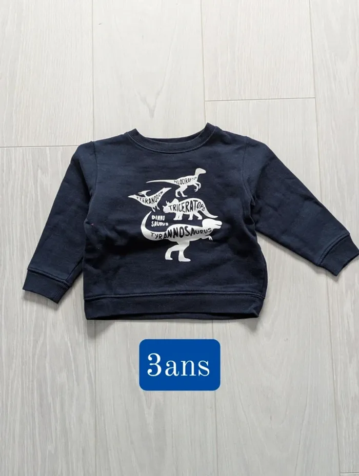 Pull dinausore Verbaudet 3ans