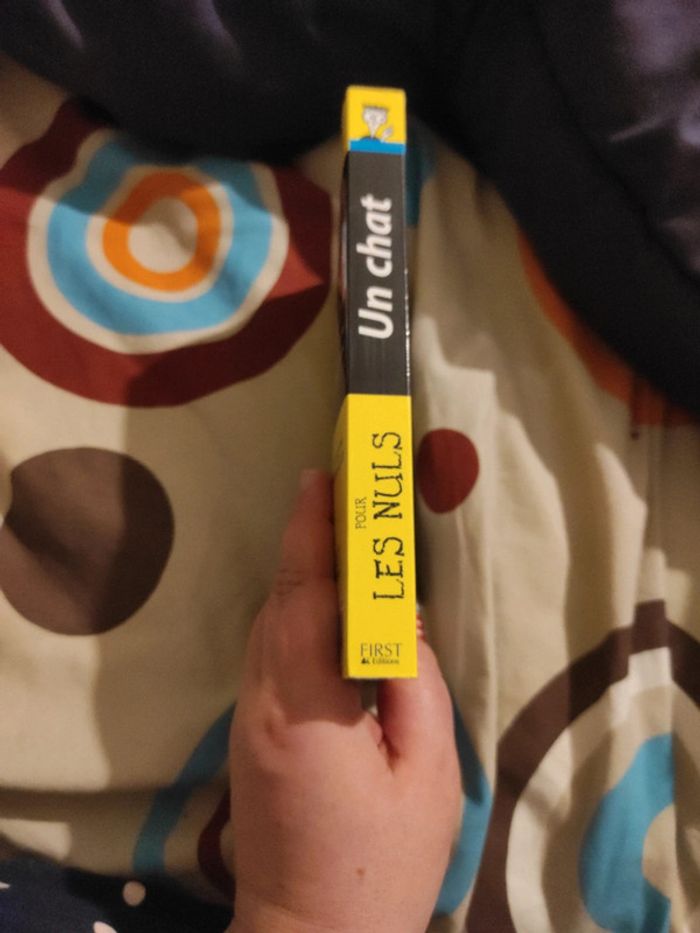 Un chat pour les nuls - photo numéro 2