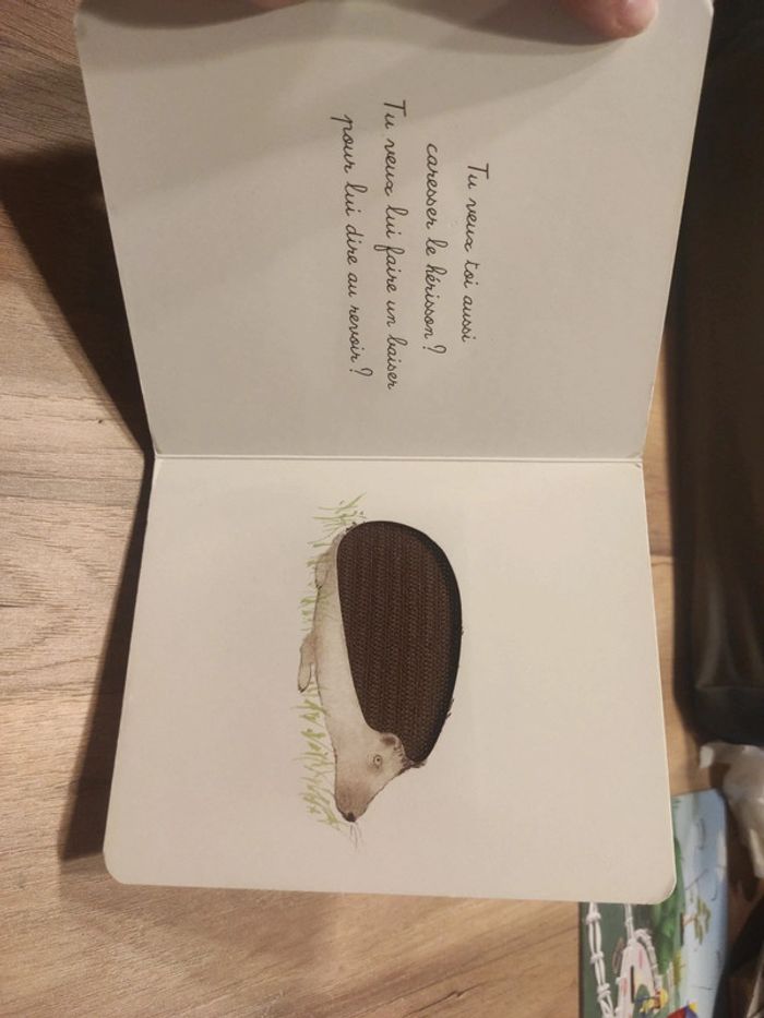 Livre : Bébé Balthazar : Caresse le chat - photo numéro 9