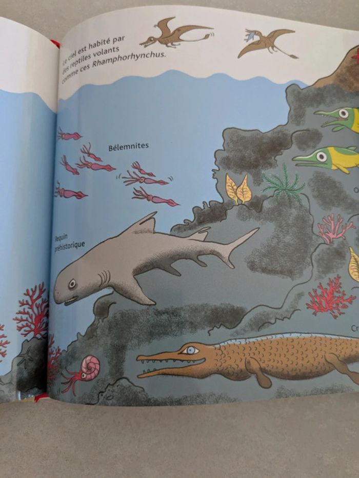 Livre Mes encyclos P'tits docs l'histoire de la vie - photo numéro 4