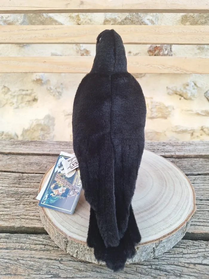black crow corbus corbeau raven corvo cuervo rabe Hansa anima - photo numéro 6