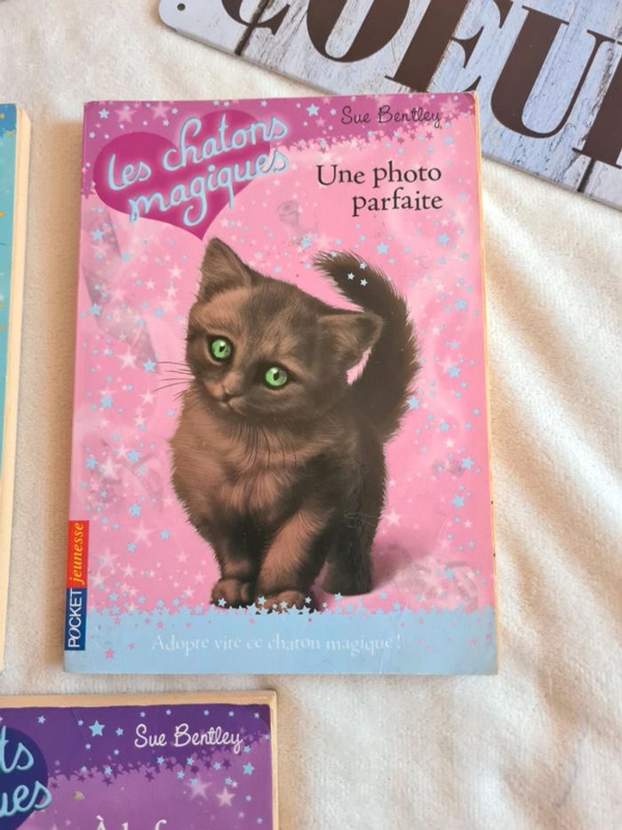 Lot 3 livres pocket jeunesse - photo numéro 5