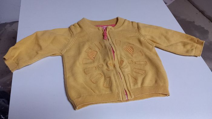 Veste jaune lion