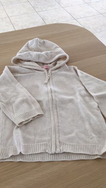 Gilet à capuche du pareil au même