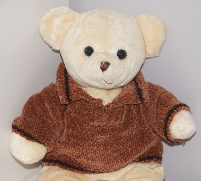 DOUDOU OURSON - photo numéro 2