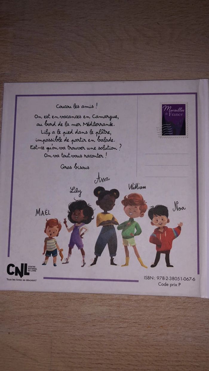 Une carriole dans la Camargue - photo numéro 2