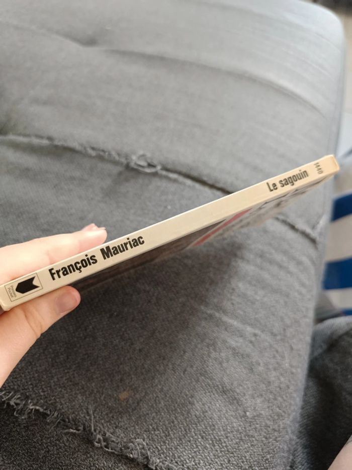 Le sagouin - François Mauriac - photo numéro 3