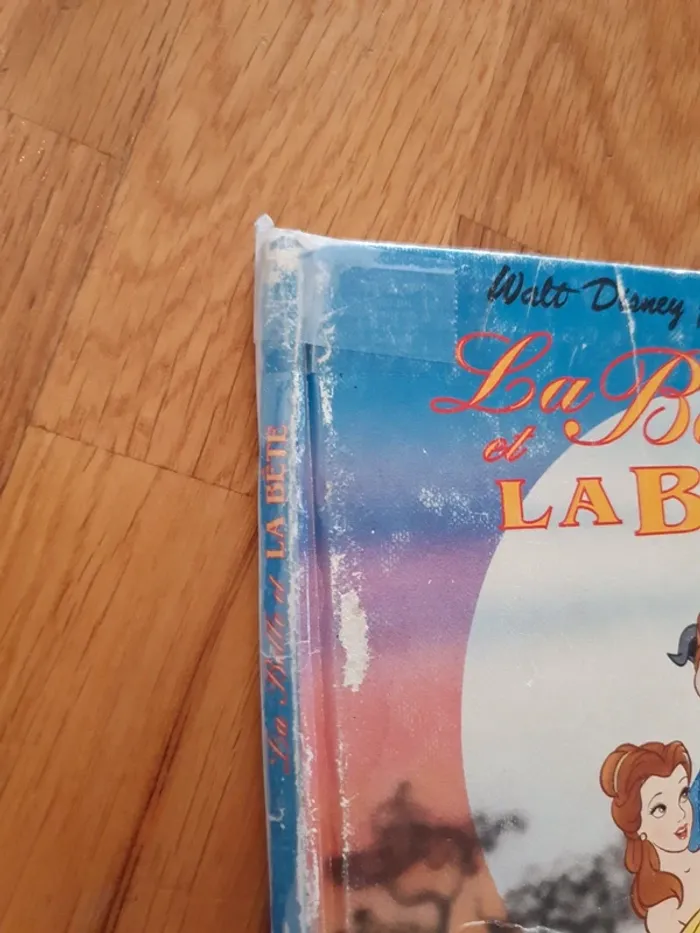 Lot livres disney - photo numéro 18