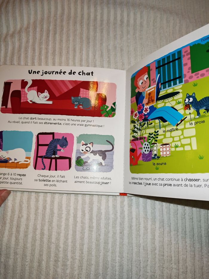 Livre les chats ma baby encyclopédie Larousse - photo numéro 4