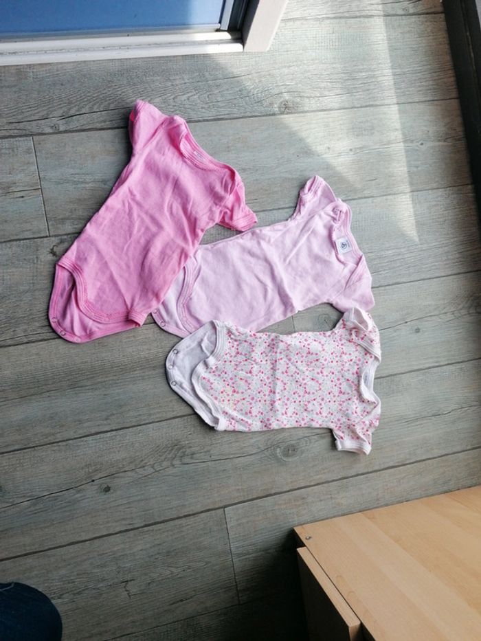 Lot 3 bodies
