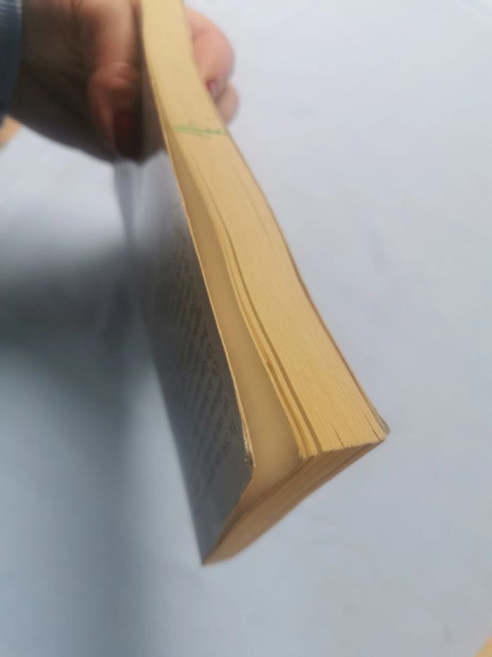 La Controverse de Valladolid, livre de Jean-Claude Carrière - photo numéro 6