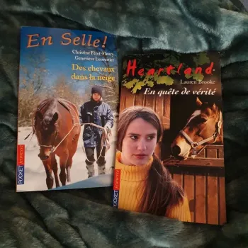 Lot 2 Livres pocket jeunesse