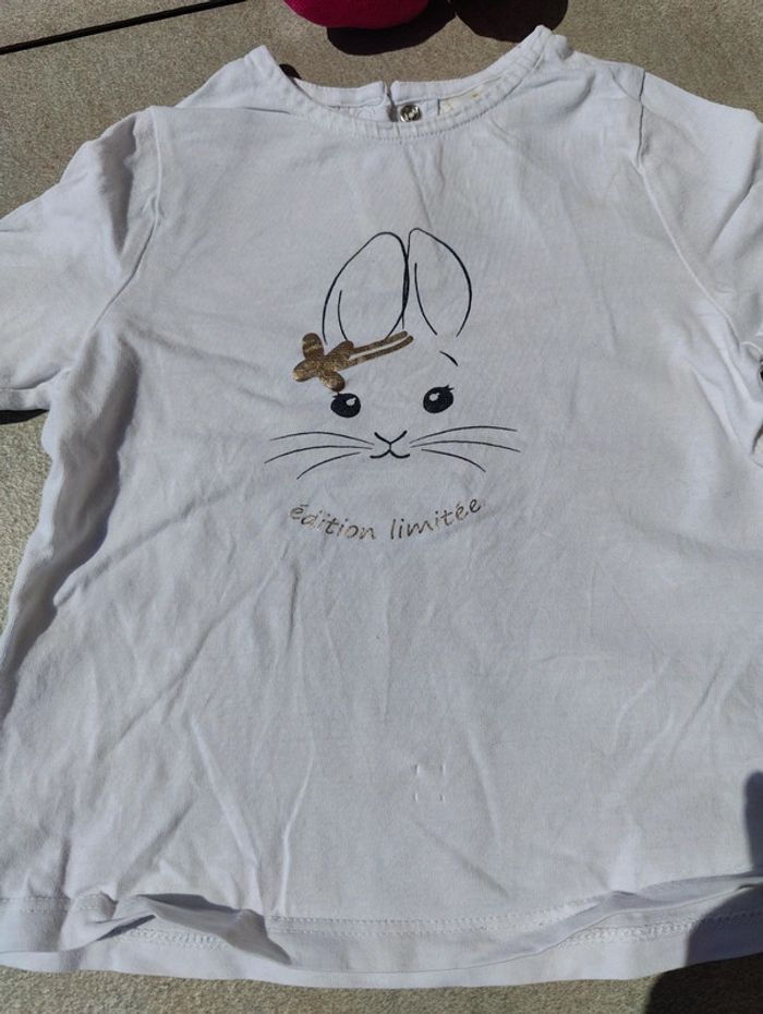 Tee shirt ml blanc lapin Tao 18 mois - photo numéro 3