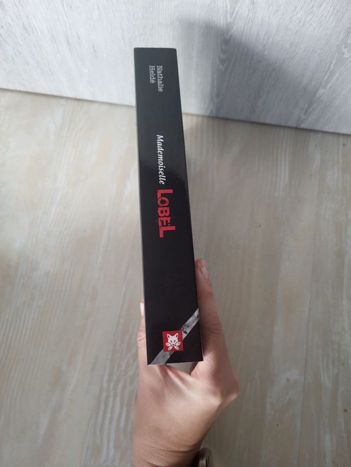 Roman thriller Mademoiselle Lobel - photo numéro 4