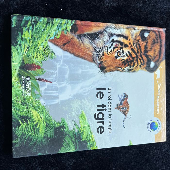 Un roi dans la jungle, le tigre