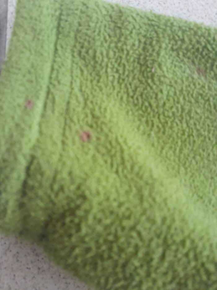 Veste - photo numéro 6