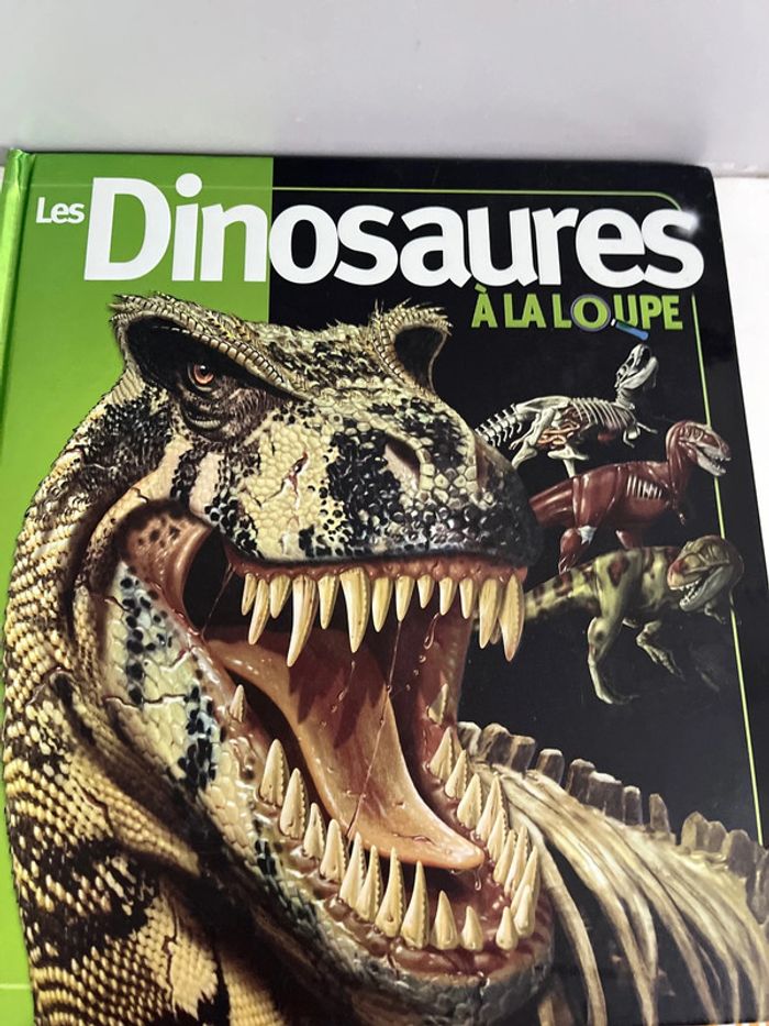 Lot de 3 livres dinosaures - photo numéro 6