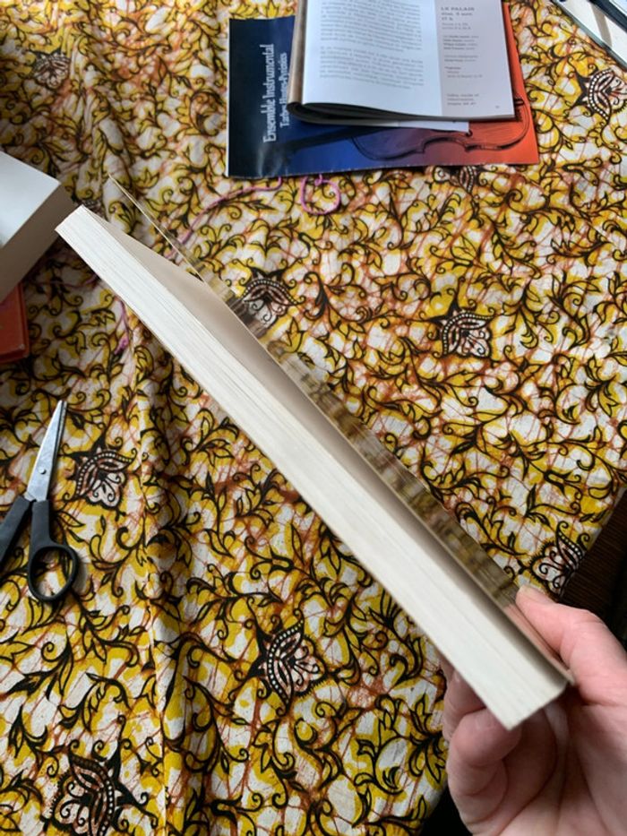 Le caniche - photo numéro 5