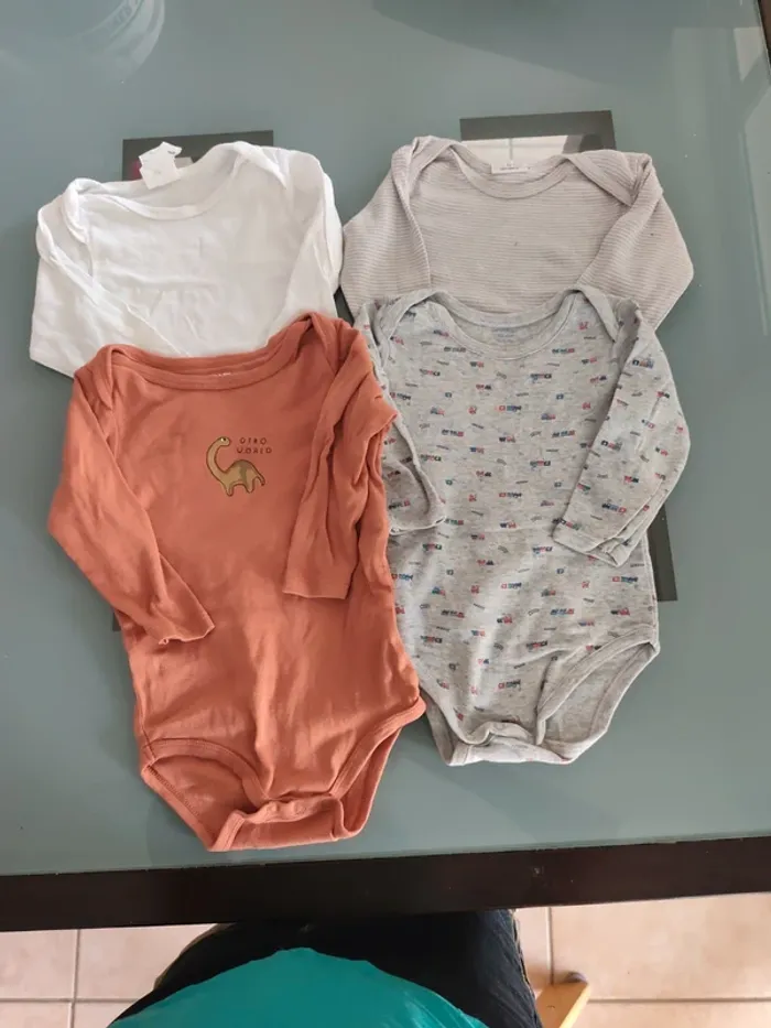 Lot 4 bodies