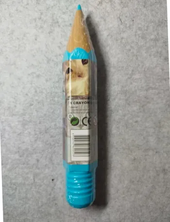 Pot de 8 Crayons Couleur Chat Neuf