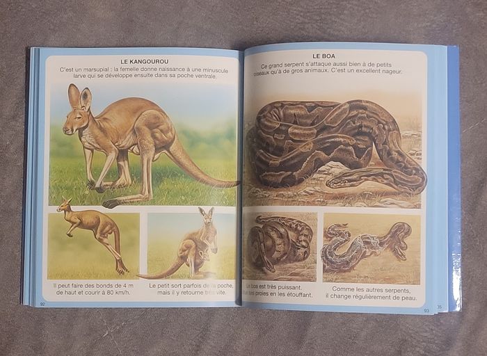L'imagerie des animaux - Fleurs - photo numéro 5