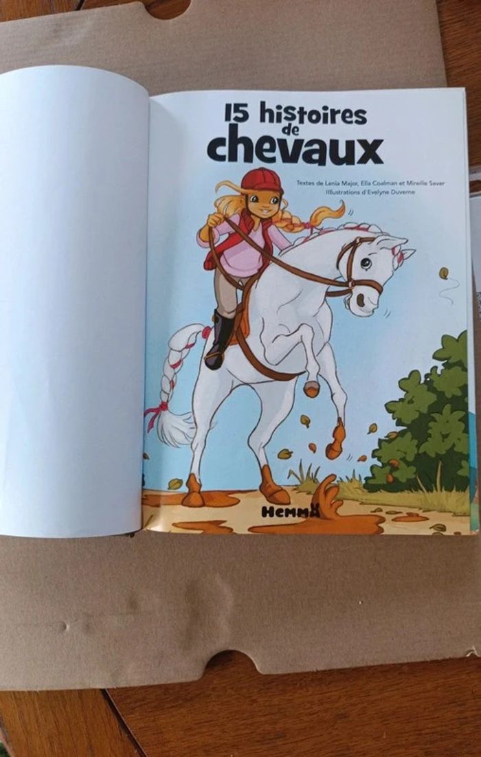 15 histoires de chevaux - photo numéro 3