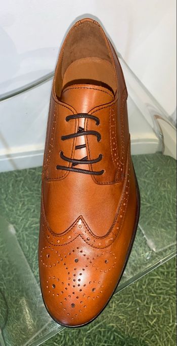 Chaussures Rootshelter