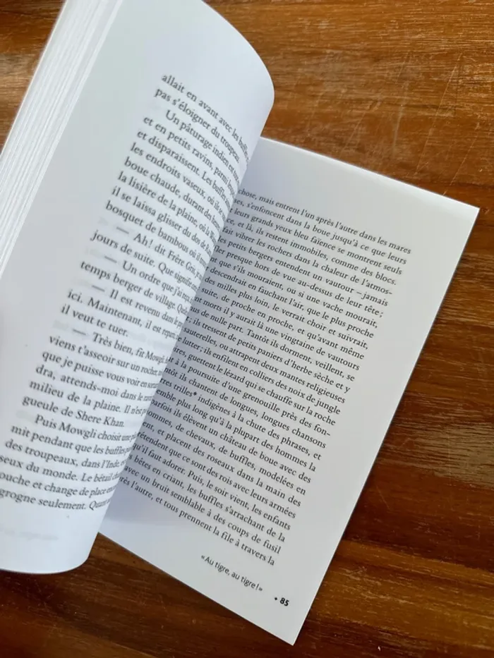 Le livre de la jungle, trois aventures de Mowgli - photo numéro 4