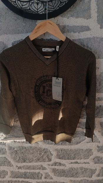 Lot de Deux pulls neuf taille 10 ans