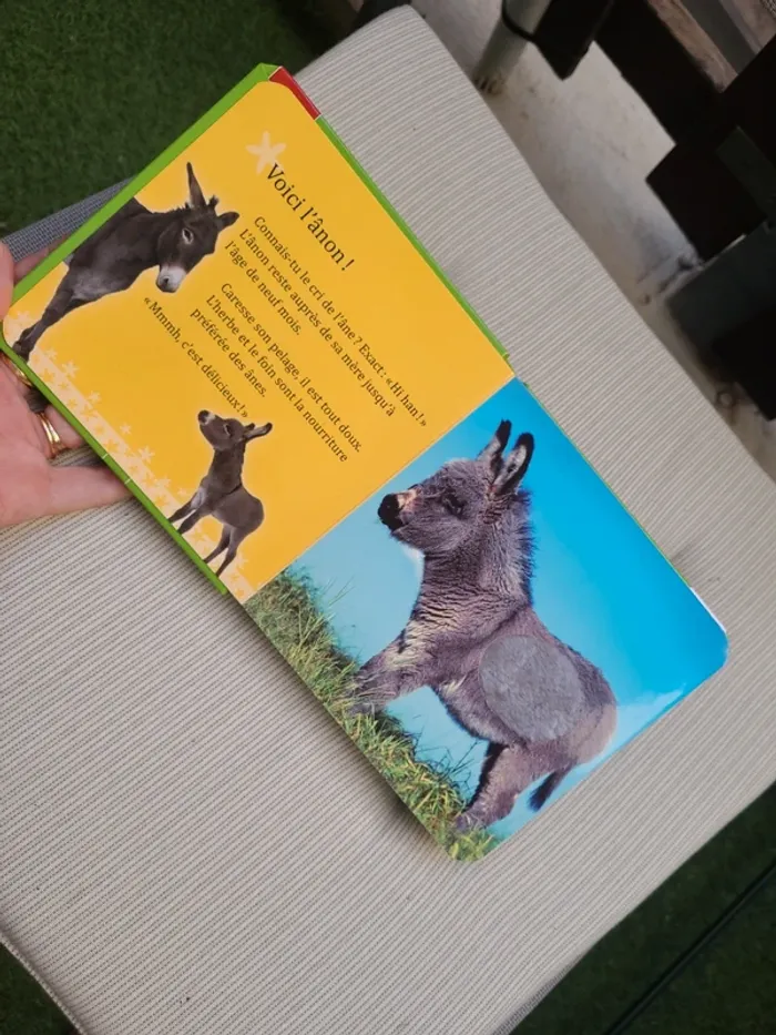 Livre à toucher - photo numéro 2