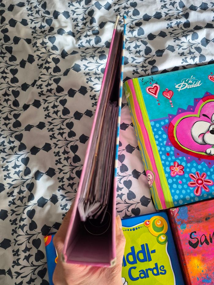 Classeur diddl - photo numéro 2