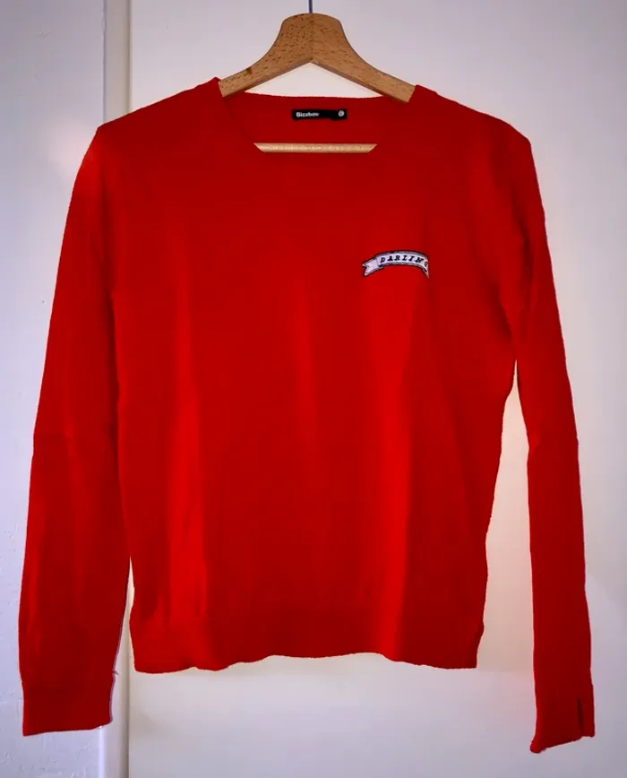 Pull fin rouge Bizzbee