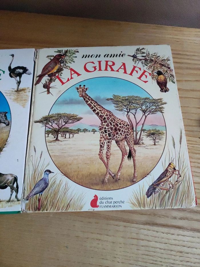 Lot de 2 livres mon amie - photo numéro 3