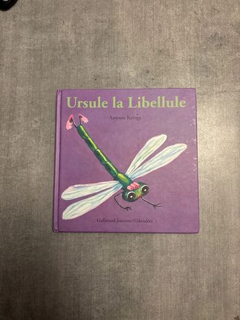 Livre, drôle de petites bête, Ursule, la libellule