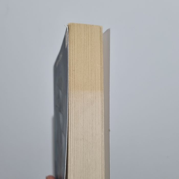 Les mystérieuses cités d'or - photo numéro 5