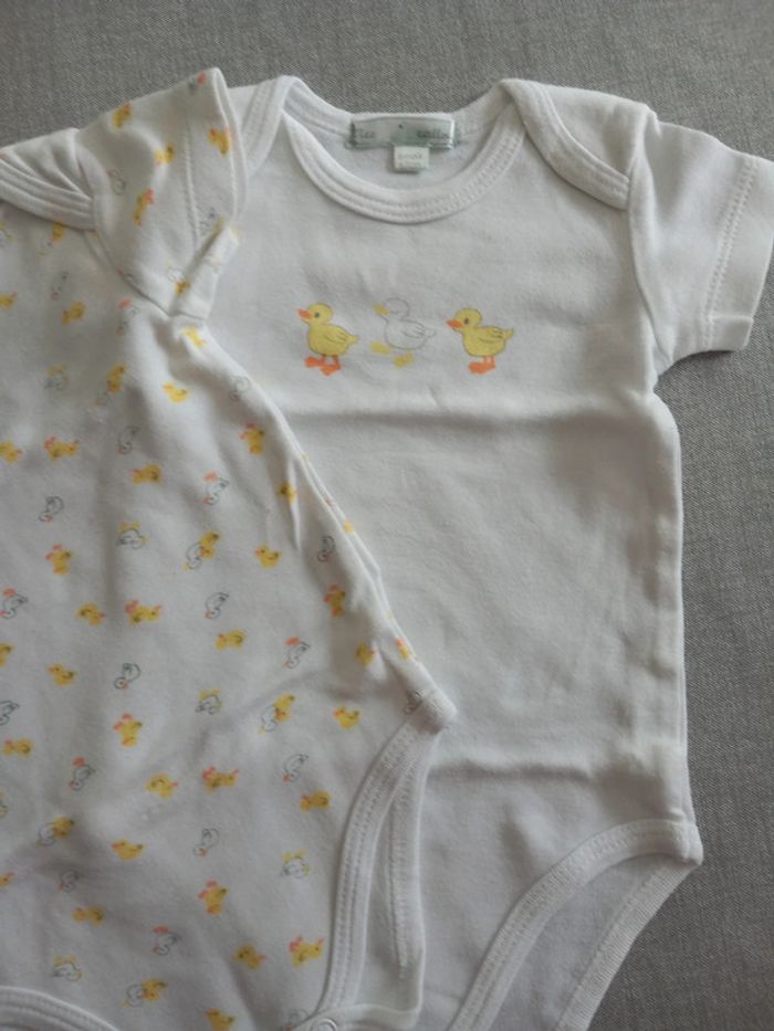 Lot 2 bodies mixte 6 mois TBE - photo numéro 3