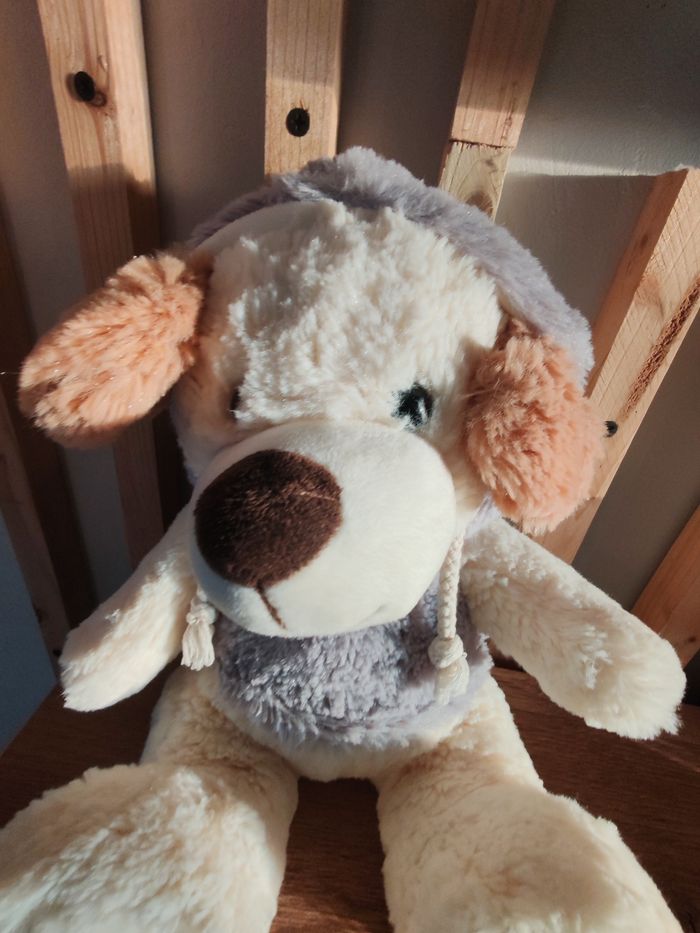 Chien gipsy beige pull gris capuche - photo numéro 2