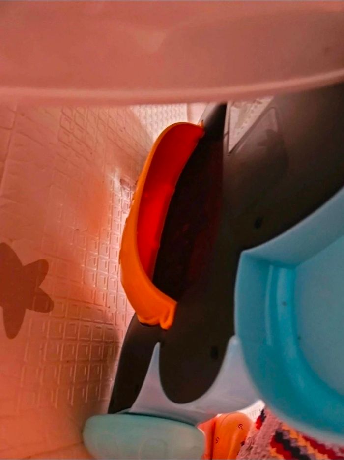 Elefant trottino - photo numéro 6