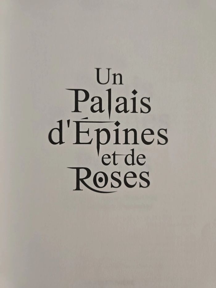 Un palais d’épines et de roses 🌹 - photo numéro 3