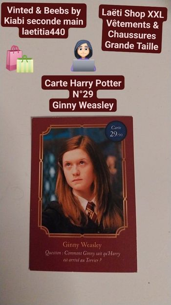 Carte Harry Potter n°29