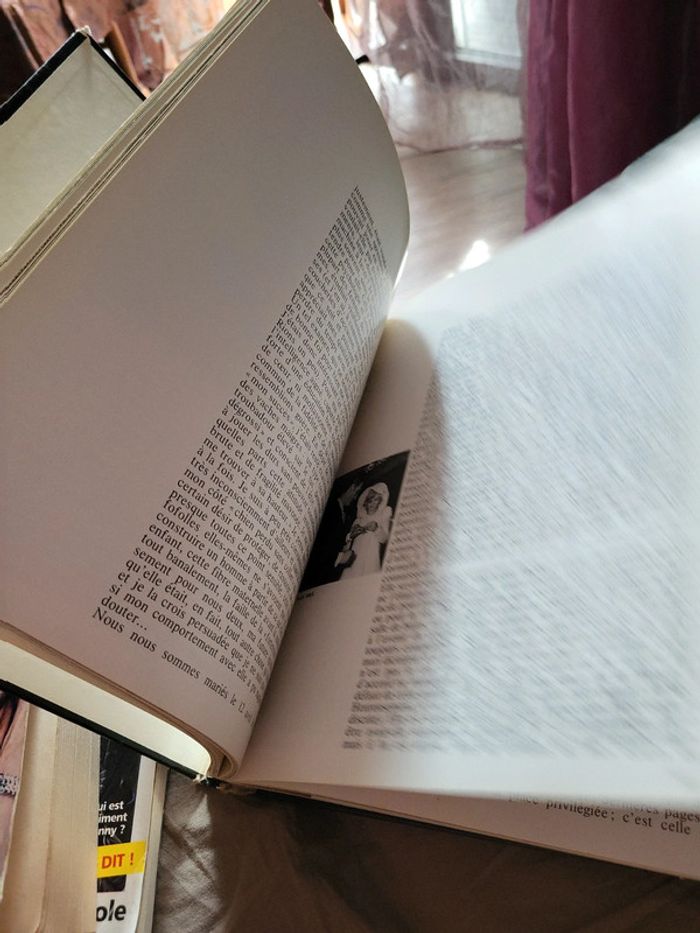 Lot 3 livres johnny hallyday - photo numéro 13