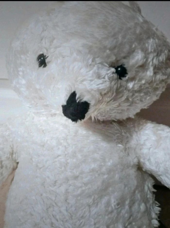 Ours en peluche - photo numéro 2