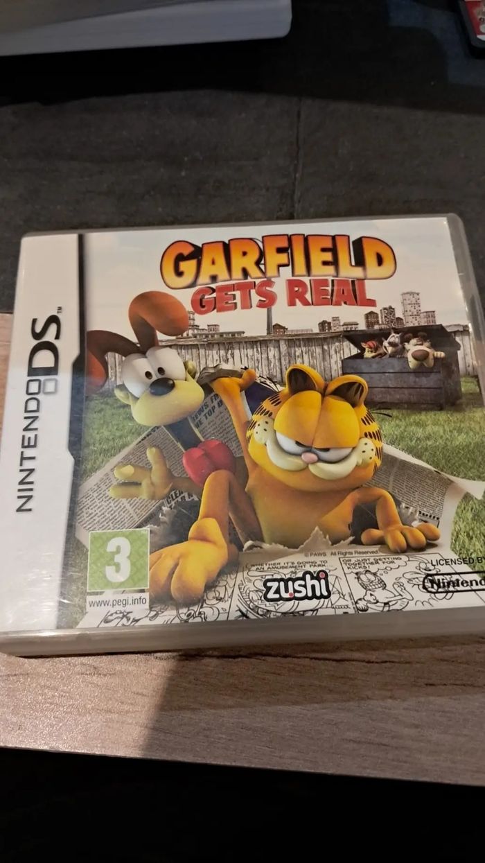 garfield ds